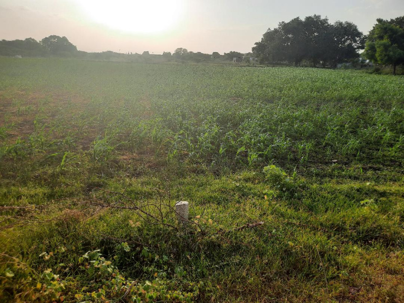  Agricultural Land 1 Acre for Sale in Aruppukkottai, Virudhunagar