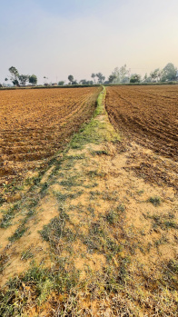  Agricultural Land for Sale in Tauru, Nuh