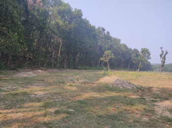  Residential Plot for Sale in Raipur, Dehradun