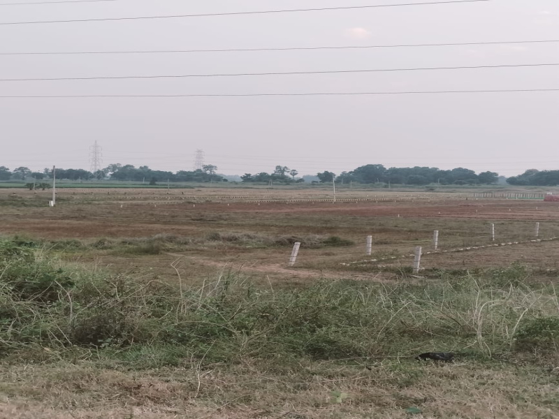  Agricultural Land 1200 Sq.ft. for Sale in Bihta, Patna