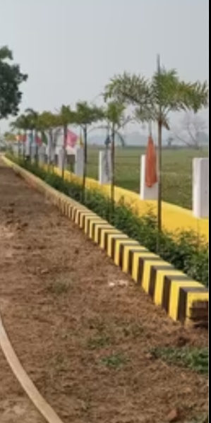  Residential Plot 2400 Sq.ft. for Sale in Bihta, Patna