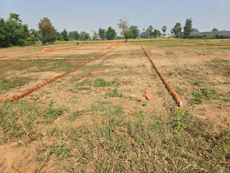  1361 Sq.ft. Residential Plot for Sale in Bihta, Patna