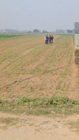  1200 Sq.ft. Residential Plot for Sale in Sainik Colony, Patna