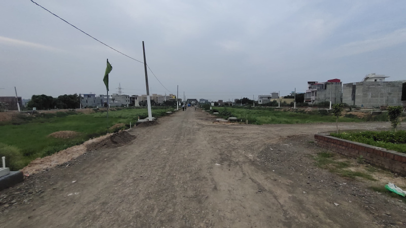  Residential Plot 112 Sq. Yards for Sale in Barwala Road, Dera Bassi