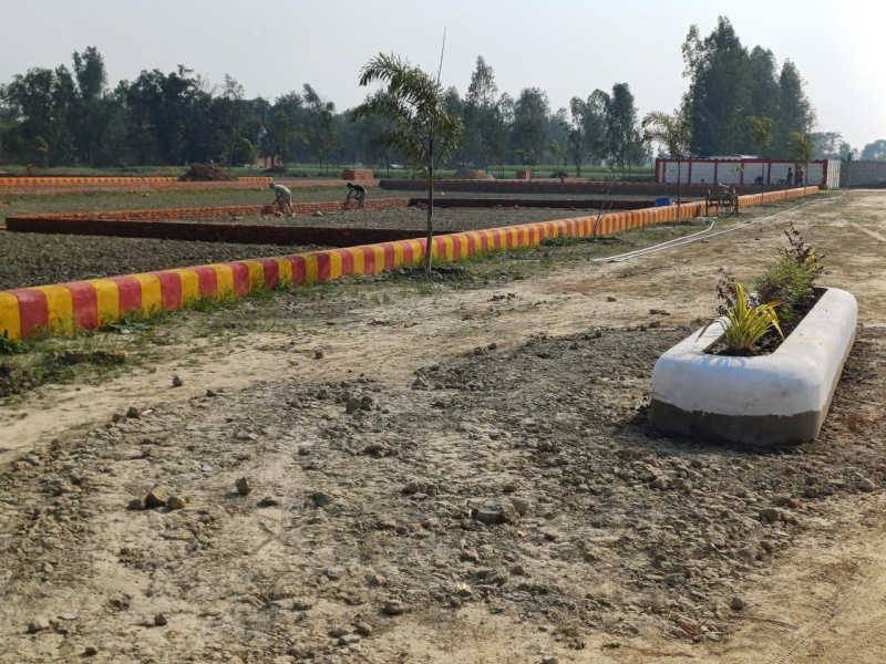  Residential Plot 800 Sq.ft. for Sale in Gosaiganj, Lucknow