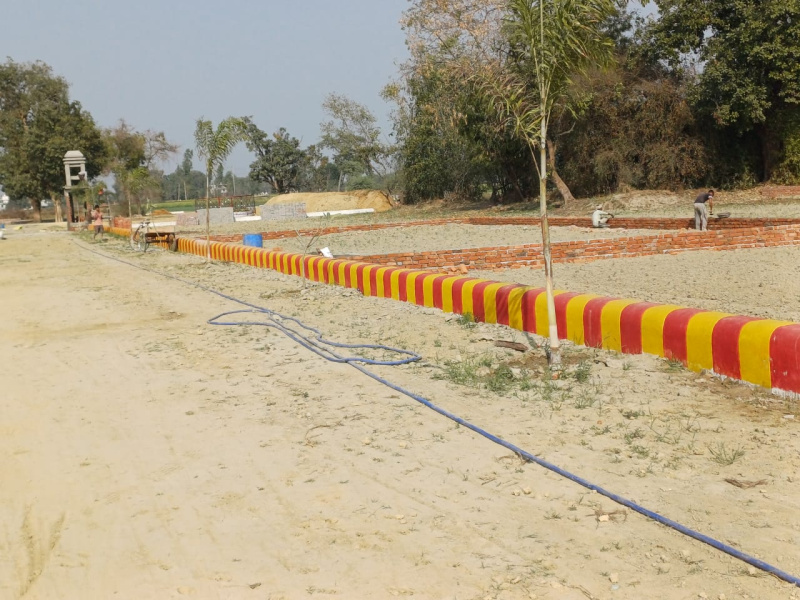 Residential Plot 800 Sq.ft. for Sale in Gosaiganj, Lucknow
