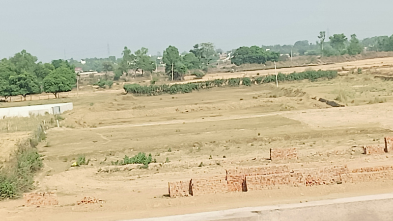  Residential Plot 1000 Sq.ft. for Sale in Sushant Golf City, Lucknow