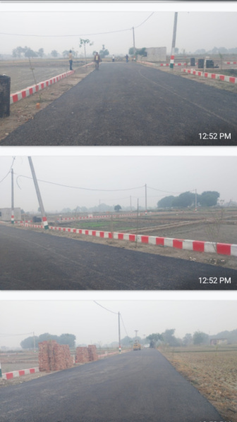  Residential Plot 1000 Sq.ft. for Sale in Gosainganj, Lucknow