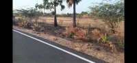  Agricultural Land for Sale in Ottapidaram, Thoothukudi