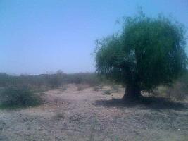  Agricultural Land for Sale in Acher, Ahmedabad