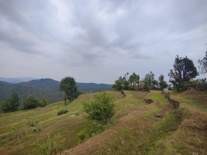  Residential Plot 240 Sq. Yards for Sale in Lamgara, Almora