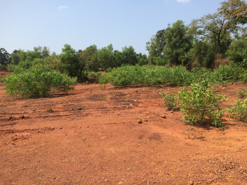  Agricultural Land 2 Acre for Sale in Ankola, Uttara Kannada