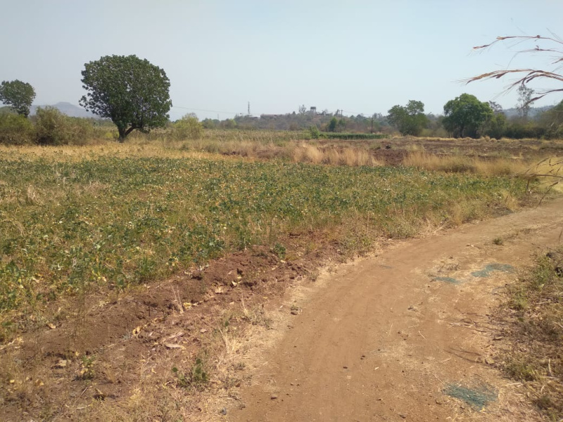  Commercial Land 129 Guntha for Sale in Indapur, Raigad