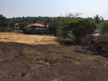  Commercial Land for Sale in Taliparamba, Kannur