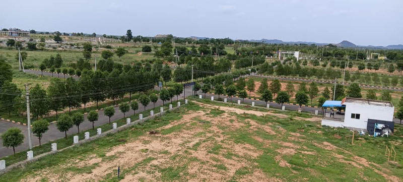  400 Sq. Yards Residential Plot for Sale in Yacharam, Rangareddy