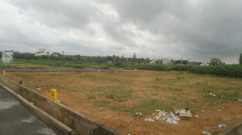  Residential Plot for Sale in Shivaji Nagar, Bangalore