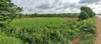  Agricultural Land for Sale in Annavaram, Kakinada