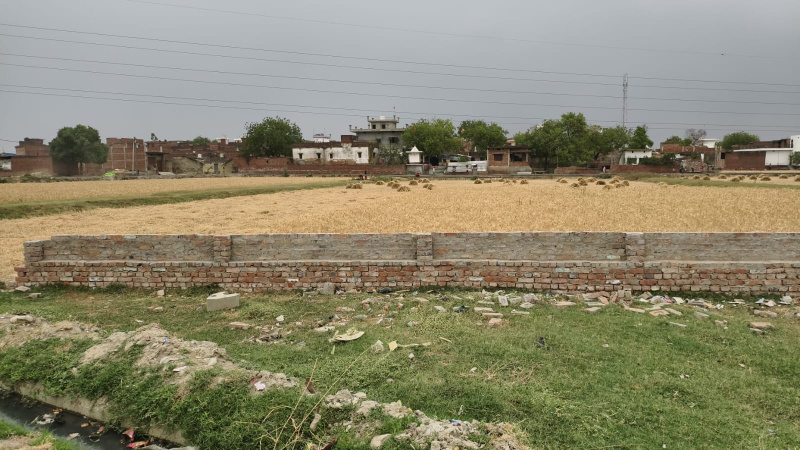  Residential Plot 1350 Sq.ft. for Sale in Pindra, Varanasi