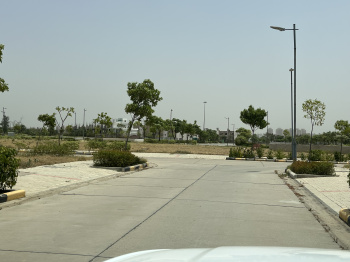  Residential Plot for Sale in Noida-Greater Noida Expressway