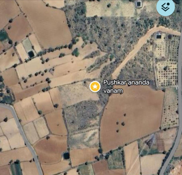  25 Bigha Agricultural/Farm Land for Sale in Pushkar, Ajmer