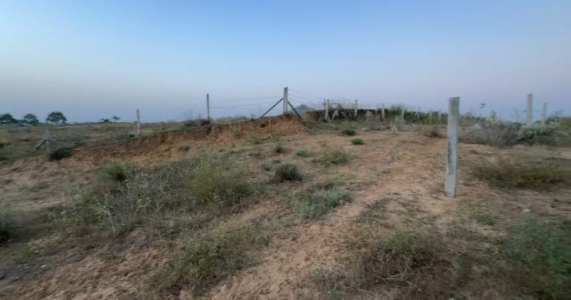  25 Bigha Agricultural/Farm Land for Sale in Pushkar, Ajmer