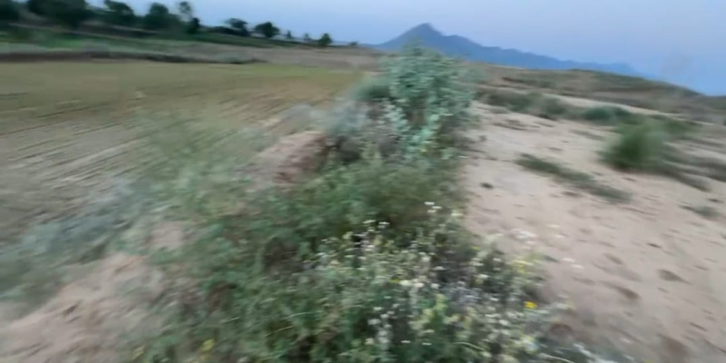  25 Bigha Agricultural/Farm Land for Sale in Pushkar, Ajmer