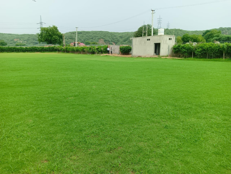  4840 Sq. Yards Residential Plot for Sale in Badshahpur, Gurgaon