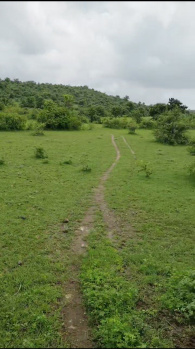  Agricultural Land for Sale in Katol, Nagpur