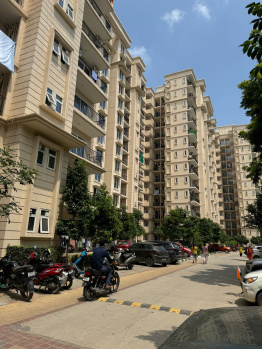 2 BHK Flat for Sale in Sohna, Gurgaon