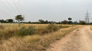  Commercial Land for Sale in Karumathampatti, Coimbatore