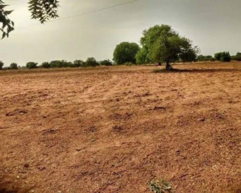  Agricultural Land for Sale in Gadag-Betigeri