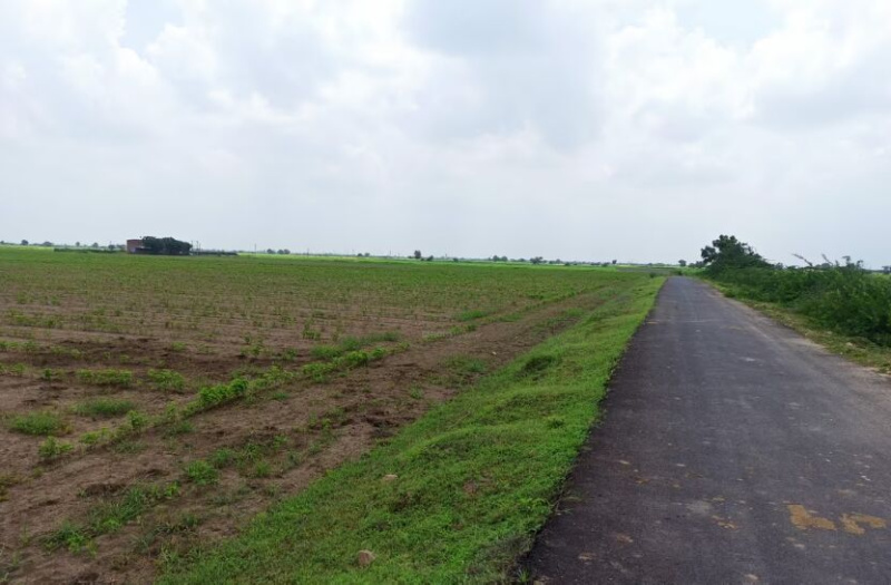  Agricultural Land 5 Acre for Sale in Hodal, Palwal