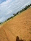  Agricultural Land for Sale in Punjai Puliampatti, Erode