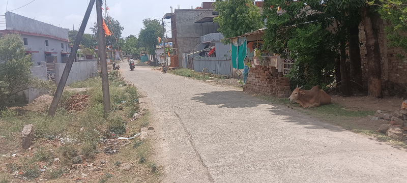  Residential Plot 24000 Sq.ft. for Sale in Amla, Betul