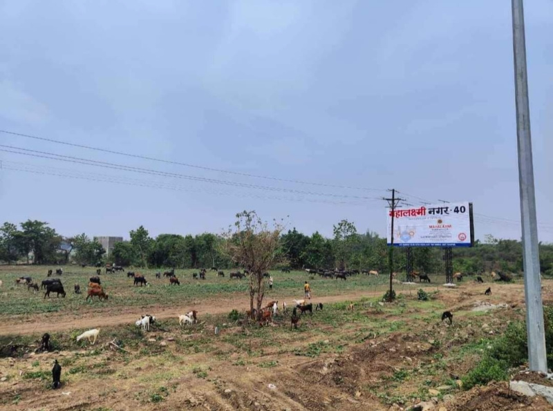  Residential Plot 1100 Sq.ft. for Sale in Chatrapati Nagar, Nagpur