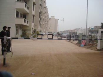 3 BHK Flat for Rent in Acme Heights Colony, Mohali