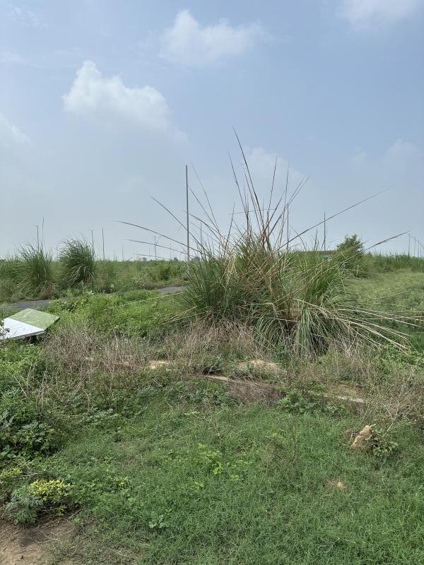  Residential Plot 300 Sq. Meter for Sale in Yamuna Expressway Gautam Buddha Nagar