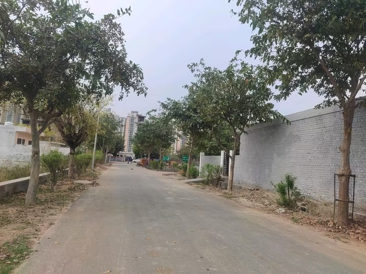  162 Sq. Meter Residential Plot for Sale in Sector 151 Noida