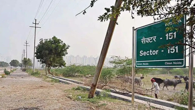  162 Sq. Meter Residential Plot for Sale in Sector 151 Noida