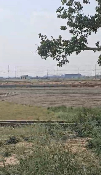  300 Sq. Meter Residential Plot for Sale in Yamuna Expressway, Greater Noida