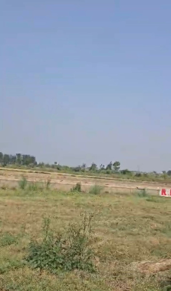  500 Sq. Meter Residential Plot for Sale in Yamuna Expressway, Greater Noida