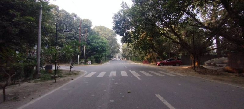  239 Sq. Yards Residential Plot for Sale in Sector 133 Noida