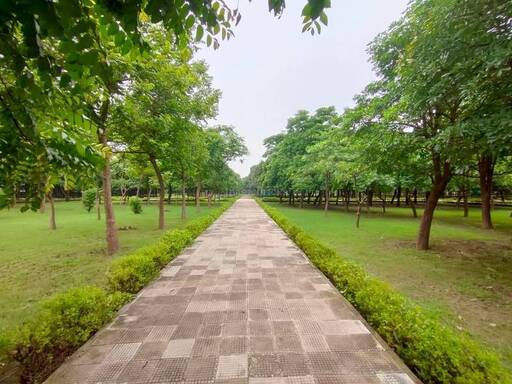  300 Sq. Meter Residential Plot for Sale in Sector 48 Noida