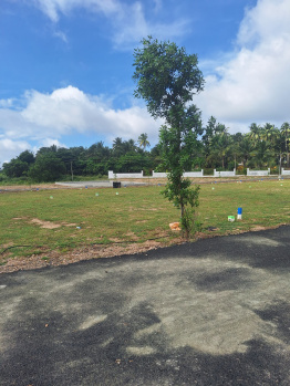  Residential Plot for Sale in Kinathukadavu, Coimbatore