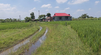  Agricultural Land for Sale in Naxalbari, Darjeeling