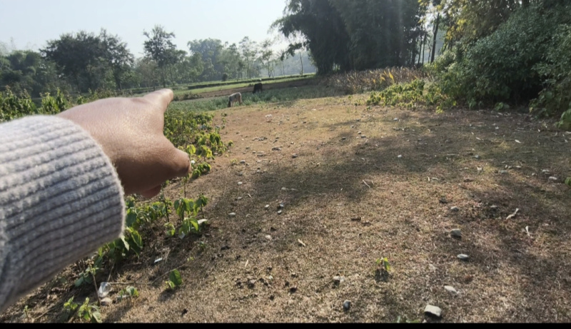  Residential Plot 28800 Sq.ft. for Sale in Naxalbari, Darjeeling