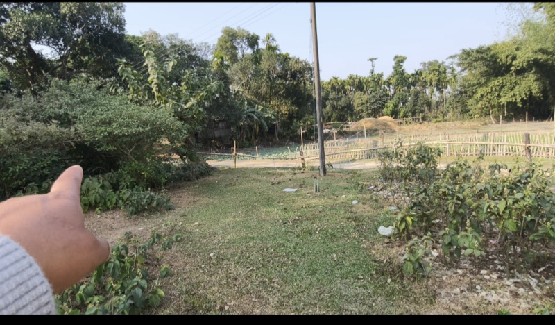  Residential Plot 28800 Sq.ft. for Sale in Naxalbari, Darjeeling