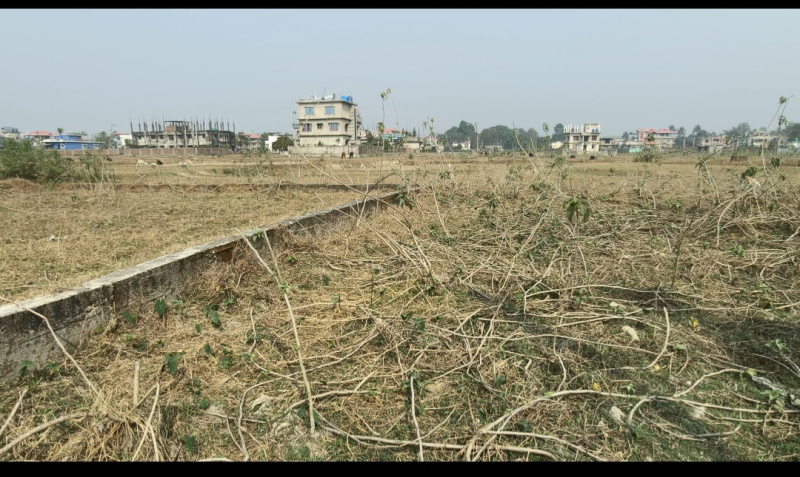  Residential Plot 2880 Sq.ft. for Sale in Matigara, Siliguri