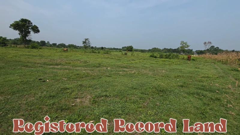  Residential Plot 10 Bigha for Sale in Khoribari, Darjeeling