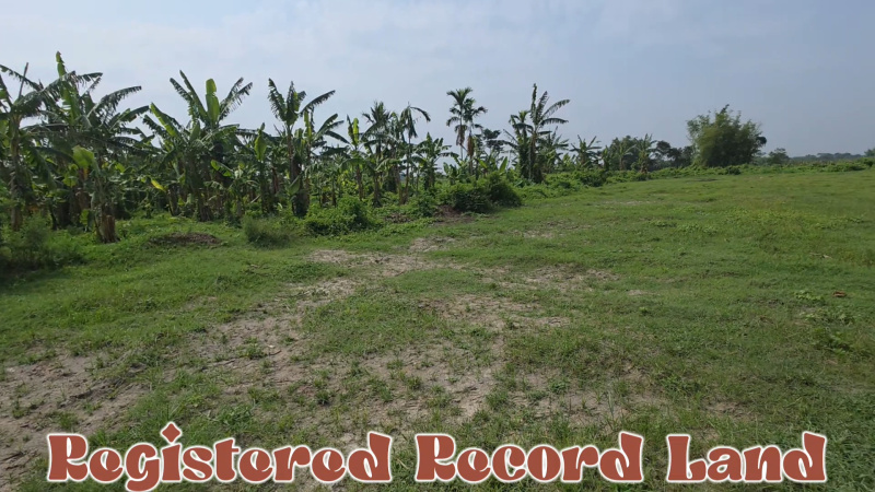  Residential Plot 10 Bigha for Sale in Khoribari, Darjeeling